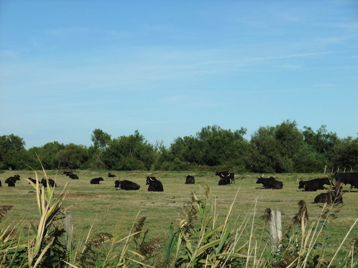 Stacks Image 6725